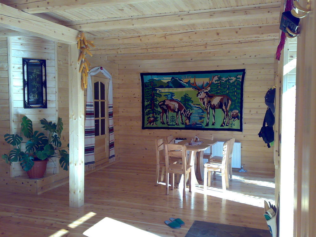 Villa Guсulka Ksenia à Kossiv Extérieur photo